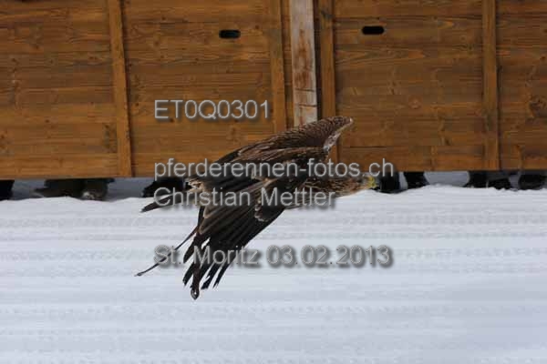 ET0Q0301 prot